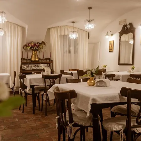 Отель Allegro 4*